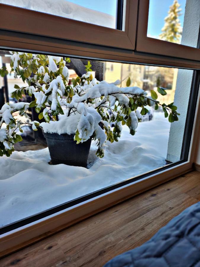Lions Place Premium Apartments Comfort Optionaler Zugang Zum Spa- Bereich Heidenheim an der Brenz Bagian luar foto