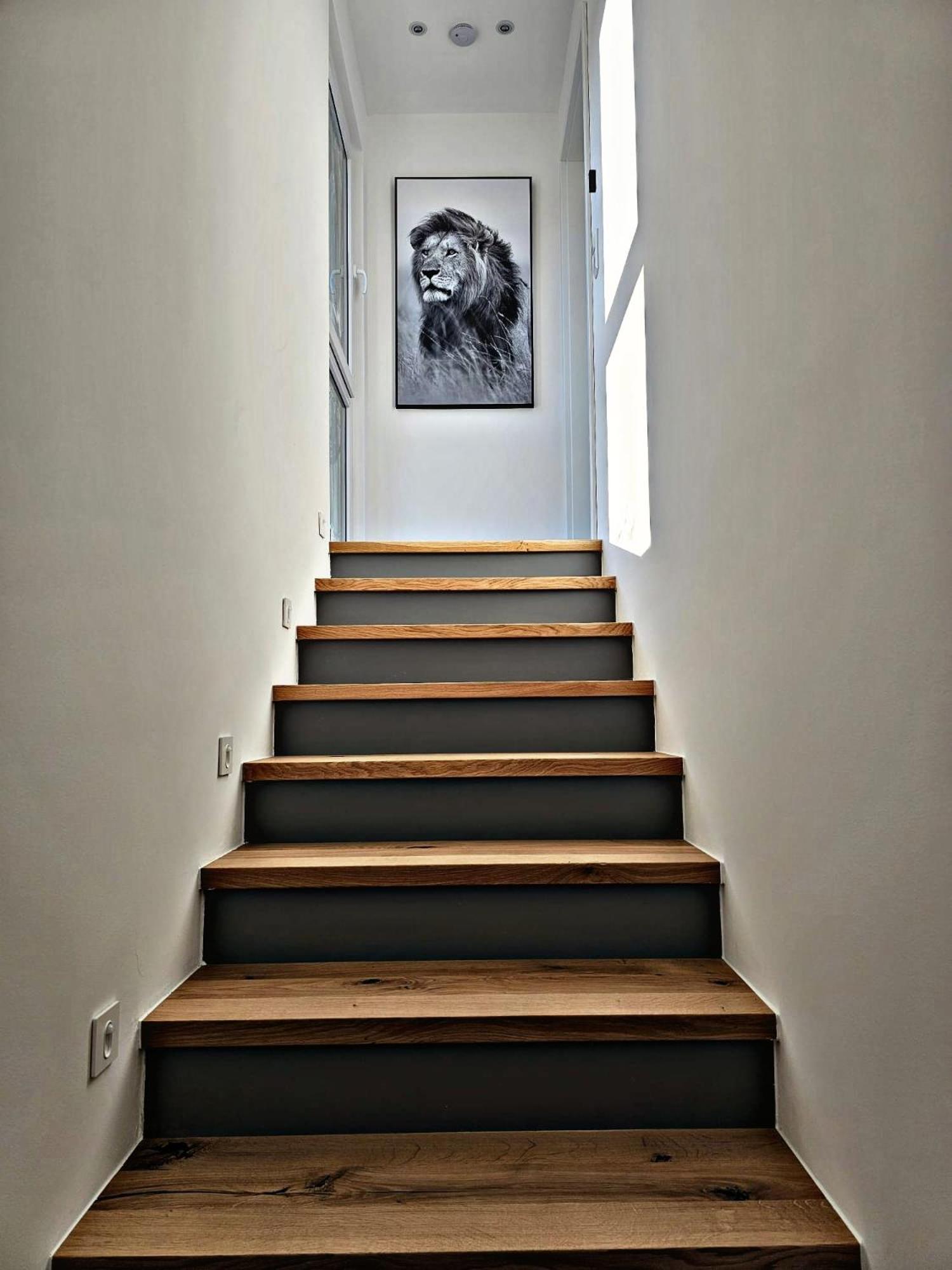 Lions Place Premium Apartments Comfort Optionaler Zugang Zum Spa- Bereich Heidenheim an der Brenz Bagian luar foto