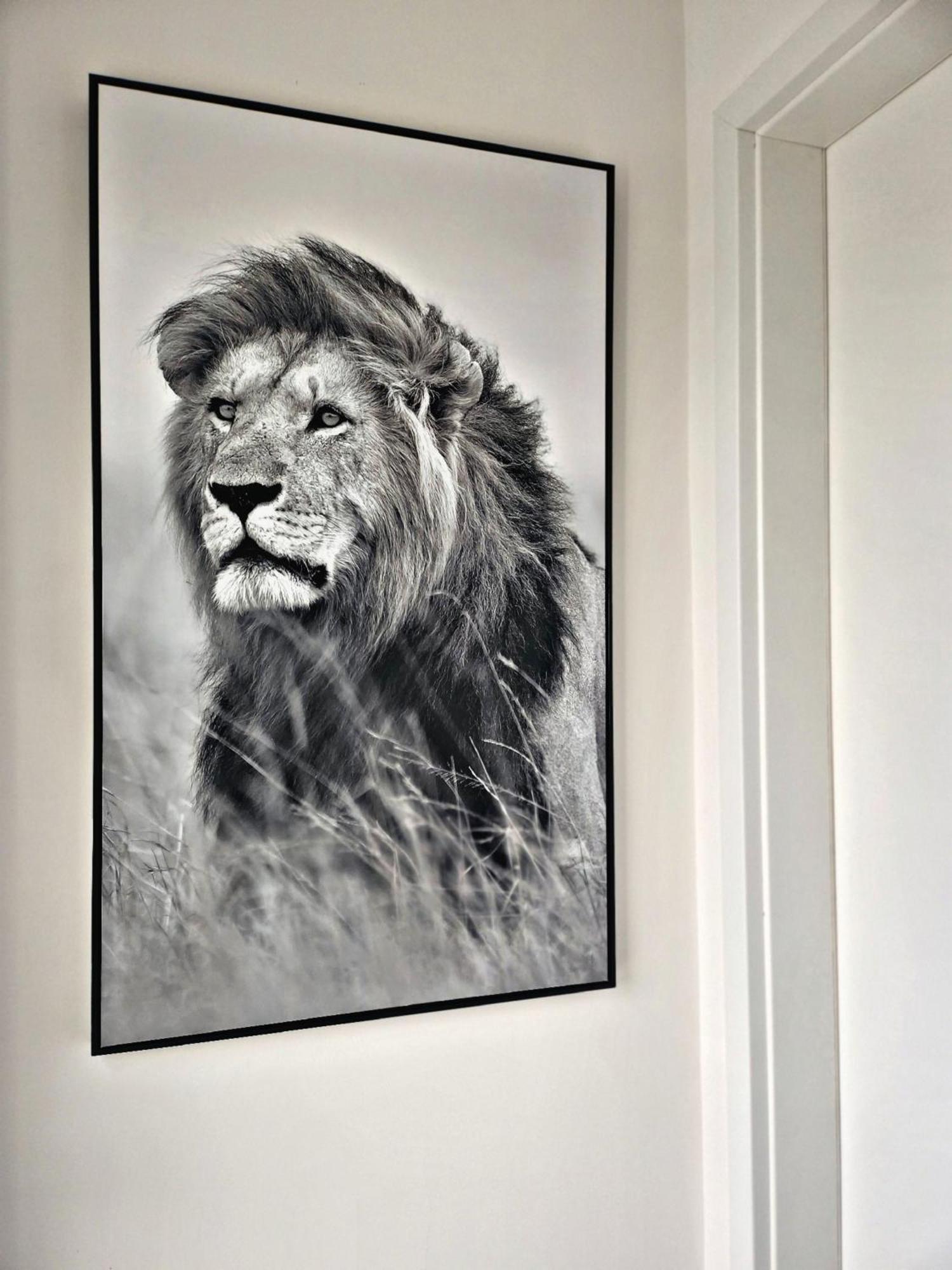 Lions Place Premium Apartments Comfort Optionaler Zugang Zum Spa- Bereich Heidenheim an der Brenz Bagian luar foto