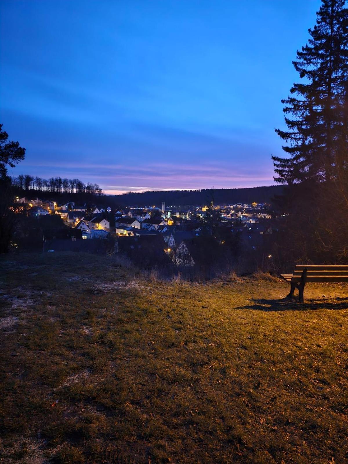Lions Place Premium Apartments Comfort Optionaler Zugang Zum Spa- Bereich Heidenheim an der Brenz Bagian luar foto